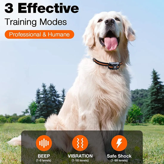 Separate Dog Training Collar Without Remote (cannot use directly)