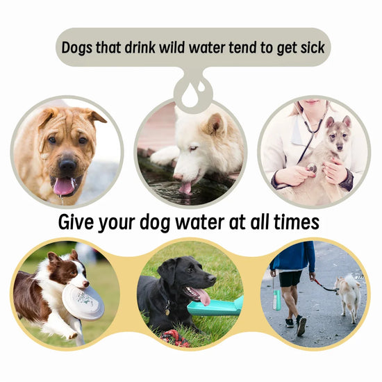 Portable Dog Water Bottle for Large Dogs Outdoor Foldable Leak Proof High Capacity Pet Drinking Bowl Labrador Bulldog Supplies