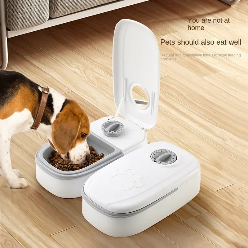 Why Every Pet Owner Needs a Smart Pet Feeder