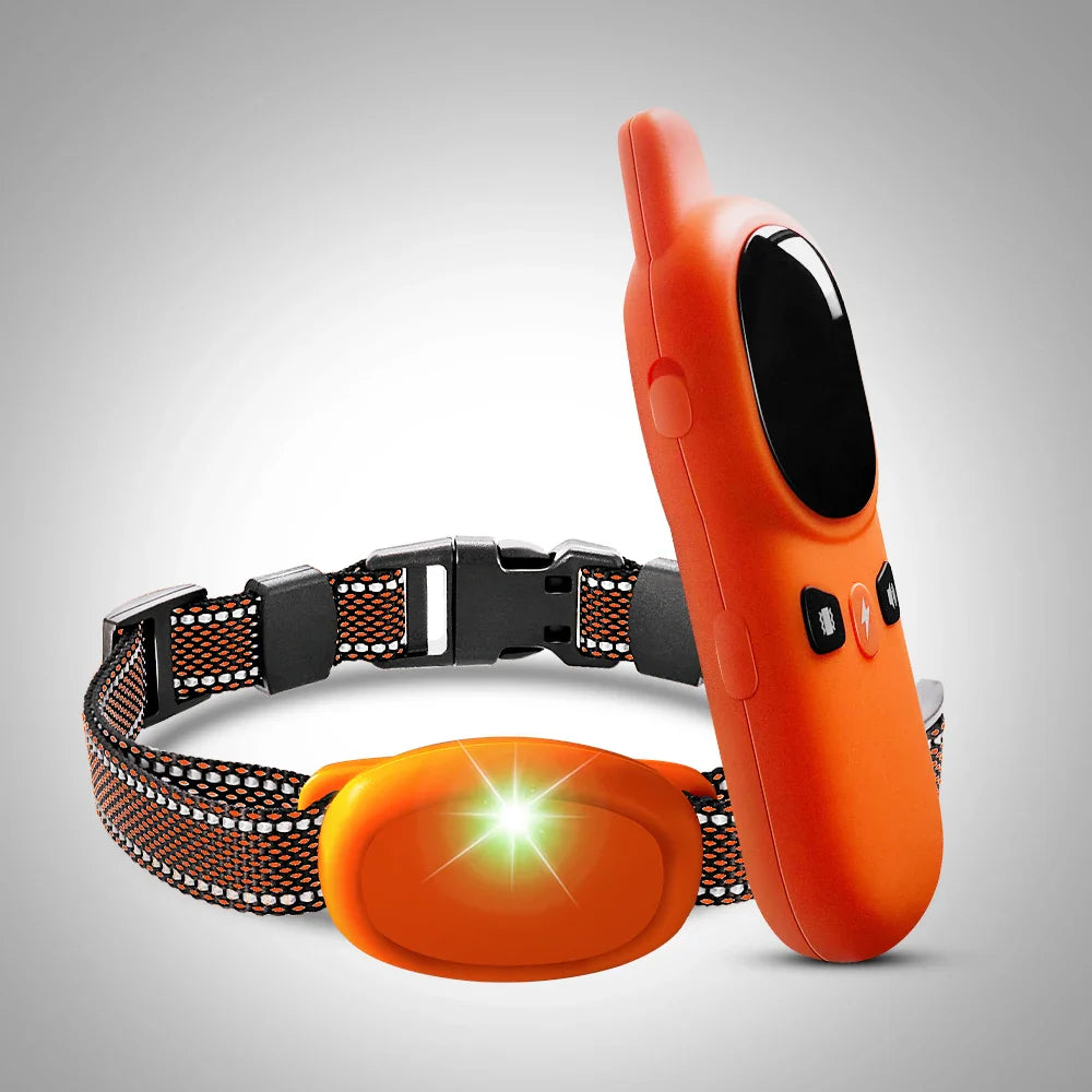 Dog Training Collar