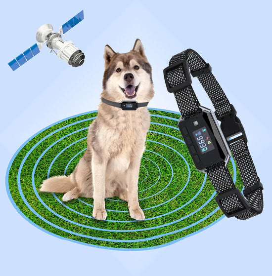 Newest Dog Training Collar GF01 Smart Vibration Static Shock Beep Voice Broadcasting Wireless GPS Dog Fence System